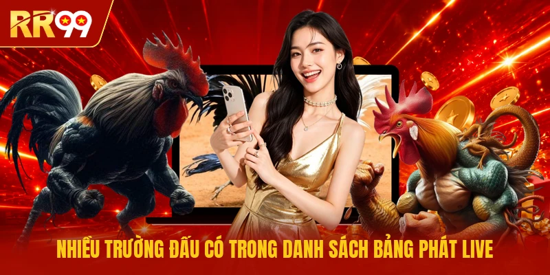 Nhiều trường đấu có trong danh sách bảng phát live