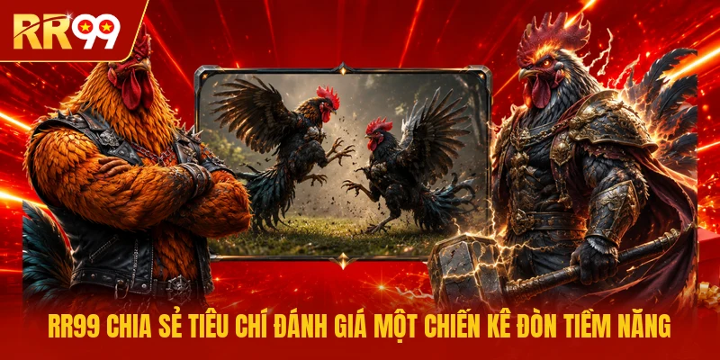 RR99 chia sẻ tiêu chí đánh giá một chiến kê Đòn tiềm năng