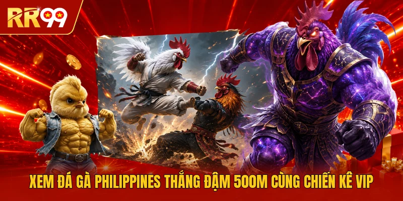Xem Đá Gà Philippines Thắng Đậm 500M Cùng Chiến Kê VIP